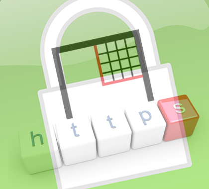 HTTPS protocol